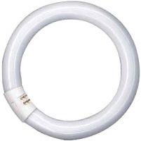 Osram Lumilux-Lampe L 32/840 C