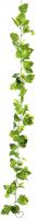 Hop Garland, 170cm