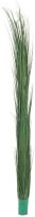 Reed grass, dark green, 127cm