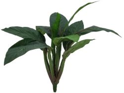 Sago palm tree, 45cm