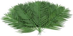 Coconut palm branch, 12pcs., 110cm