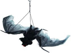 Bat with ca 120 cm wing-spread