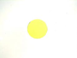 Dichro (yellow) for TS-255