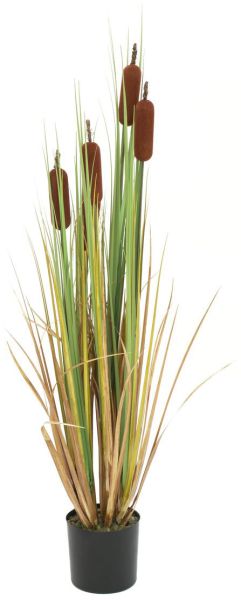 EUROPALMS Rohrkolben, Kunstpflanze, 150cm