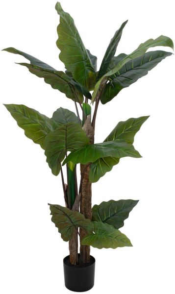 EUROPALMS Pfeilblatt - Alocasia, Kunstpflanze, 140cm