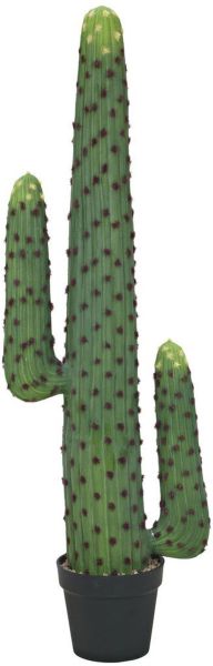 EUROPALMS Mexikanischer Kaktus, Kunstpflanze, grün, 117cm