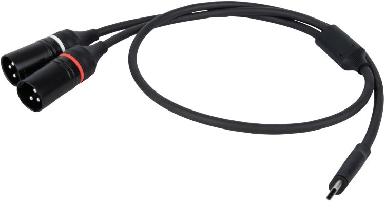DAP-Audio FL112 - USB-C auf 2 XLR/M 3P 0,75 m