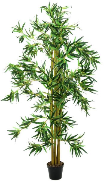 EUROPALMS Bambus Multistamm, 150cm