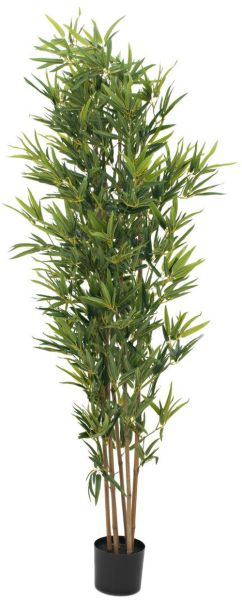 EUROPALMS Bambus deluxe, Kunstpflanze, 180cm
