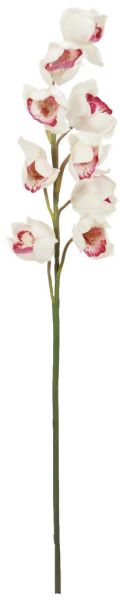EUROPALMS Cymbidiumzweig, weiß-pink, 90cm