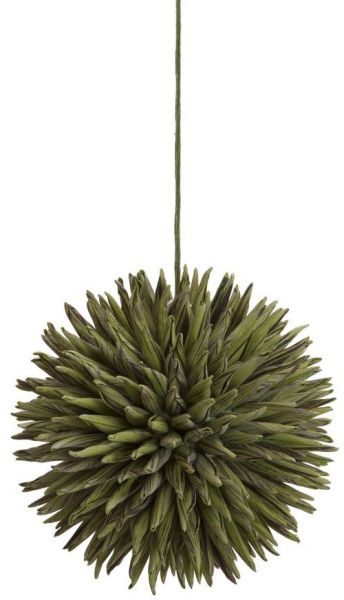 EUROPALMS Sukkulenten Kugel (EVA), grün, 16cm