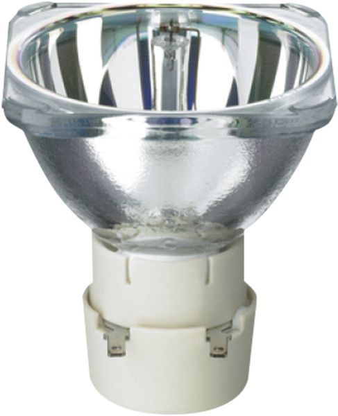 MSD Platinum 5R 8000K