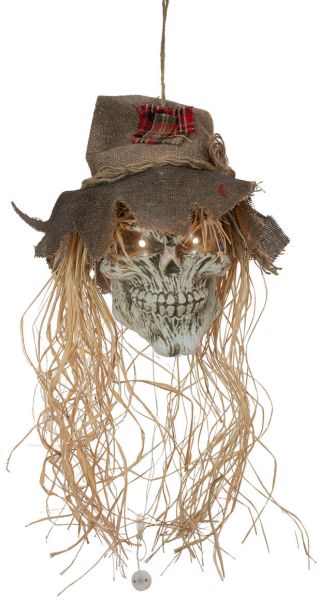 EUROPALMS Halloween Vogelscheuchen-Schädel, 70cm