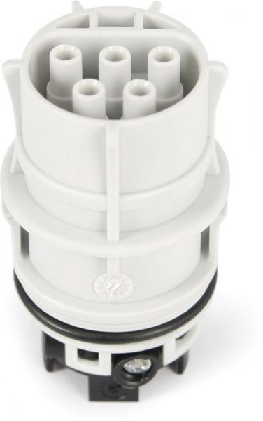 Wieland Buchsenteil mit Zugentlastung RST20I5S B1 ZR1 GL