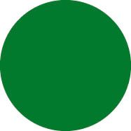 Showtec Colour Roll 122 x 762 cm  Dark Green