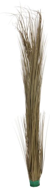 EUROPALMS Schilfgras, khaki, 127cm