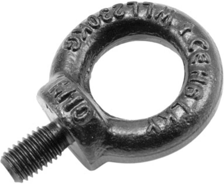 SAFETEX Ringschraube M10/17mm, schwarz galvanisiert DIN 580