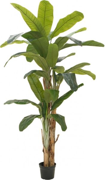 EUROPALMS Bananenbaum, Kunstpflanze, 240cm -Demoware-
