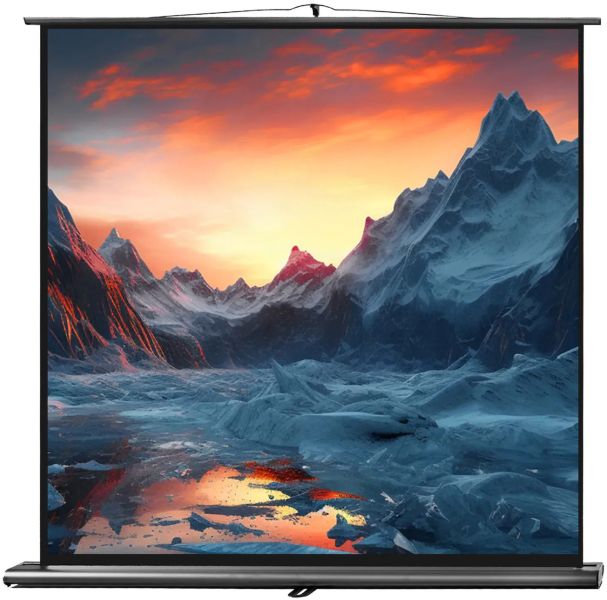celexon Leinwand Ultramobil Professional 180 x 180 cm