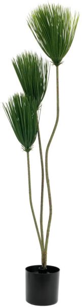 EUROPALMS Papyrus, Kunstpflanze, 100cm
