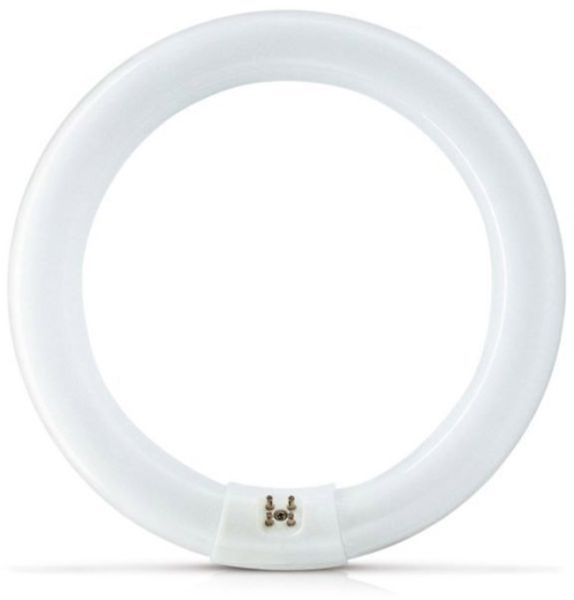 PHILIPS Actinic BL TL-E 22W/10 1CT/20 Insektenlampe 22W Actinic G10q Ring
