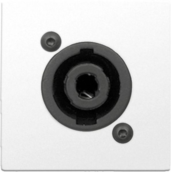 Audac CP 45 SPESW Anschlussplatte mit Lautsprecher Buchse weiß
