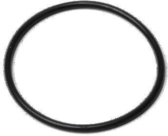 SNAP O-Ring schwarz 25x