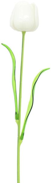 EUROPALMS Kristalltulpe, weiß 61cm 12x