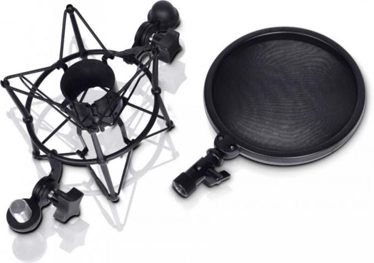 LD Systems DSM 400 Mikrofonspinne mit Pop Filter