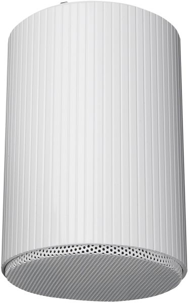DAP-Audio HS-510M 10W 5" Hanging Speaker