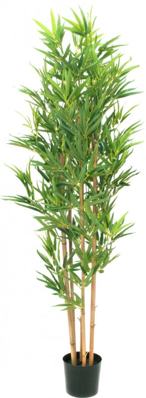 EUROPALMS Bambus deluxe, Kunstpflanze, 150cm - günstig bei LTT