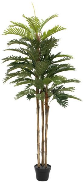 EUROPALMS Kentia Palme, Kunstpflanze, 150cm