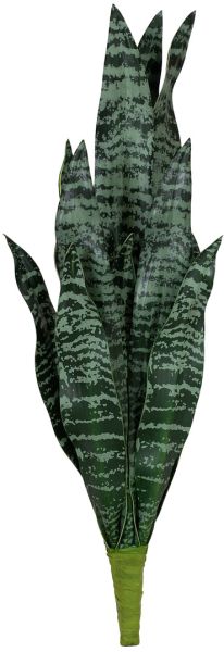 EUROPALMS Bogenhanf (EVA), künstlich, grün, 60cm