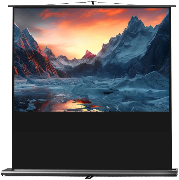 celexon Leinwand Ultramobil Professional 160 x 100 cm