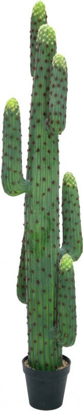 EUROPALMS Mexikanischer Kaktus, Kunstpflanze, grün, 173cm - günstig bei LTT