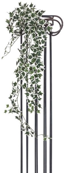 EUROPALMS Holland-Efeubuschranke Classic, 100cm