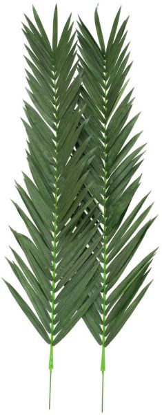 EUROPALMS Kokos-Königspalmwedel, künstlich, 210cm