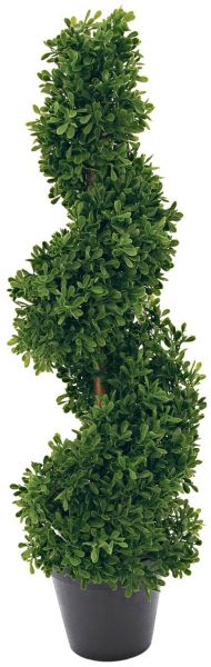 EUROPALMS Spiralbaum, 61cm