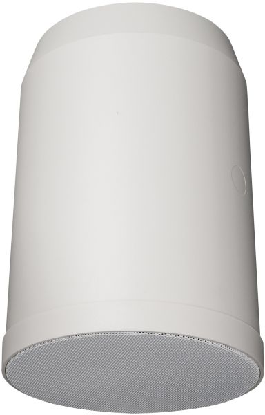 DAP-Audio HS-620P 20W 6" Hanging Speaker