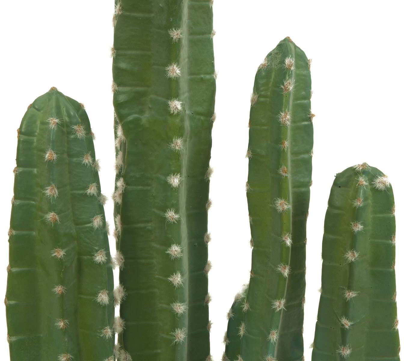 EUROPALMS Mexikanischer Kaktus, Kunstpflanze, grn, 123cm - gnstig bei LTT