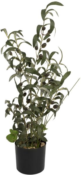 EUROPALMS Olivenbäumchen, Kunstpflanze, 68 cm