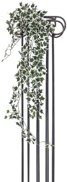 EUROPALMS Holland-Efeubuschranke Classic, 100cm