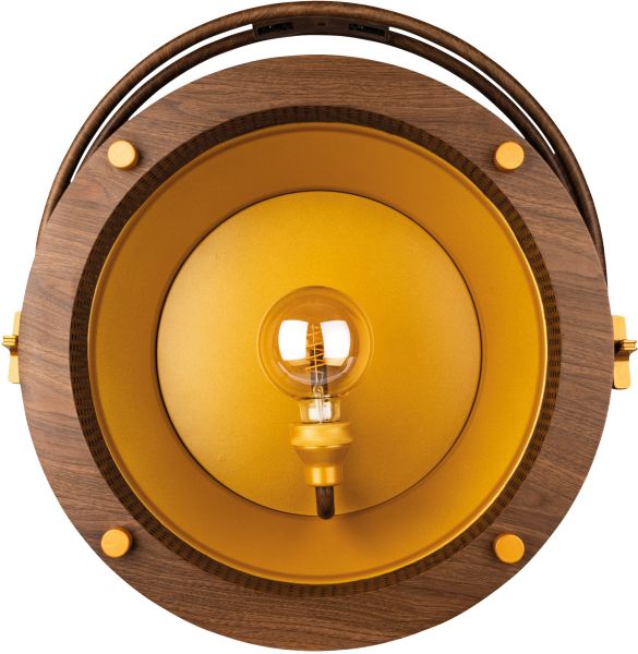 SHOWTEC Edison Vintage 1, blassgoldfarben / Holzmaserung, Retro-DMX-LED-Leuchte mit Dimmer und