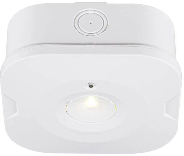 SLV P-LIGHT, Deckenaufbauleuchte, quadratisch, 6000K, 1.2 W, weiß