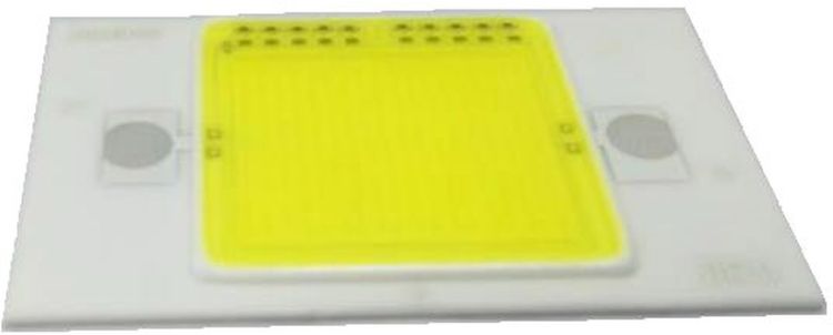 LED COB 30W CW FL-30 (DRD-HW-S101)