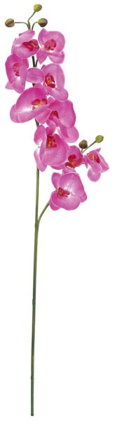 EUROPALMS Orchideenzweig, lila, 100cm