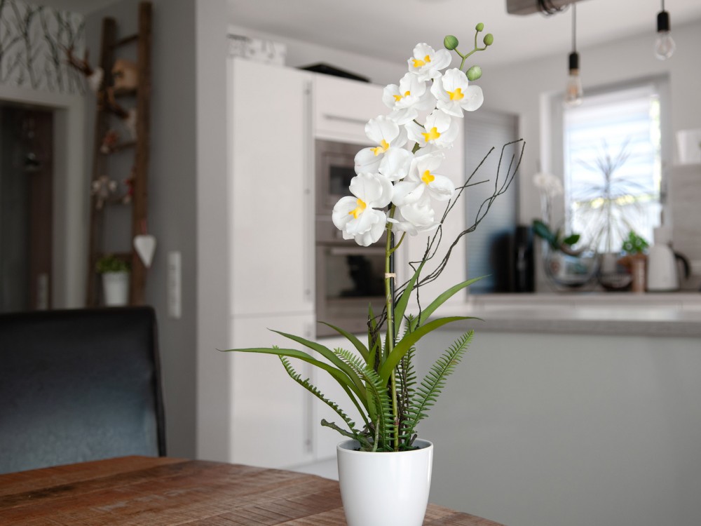 Europalms Orchideen-Arrangement 4 Kunstpflanze 