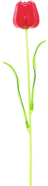 EUROPALMS Kristalltulpe, rot 61cm 12x