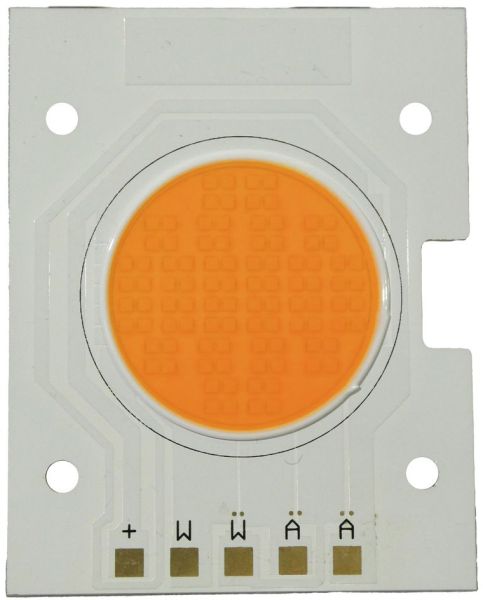 Platine (LED) AKKU IP Tourlight 200 WW (OCZ200W-W-WW)