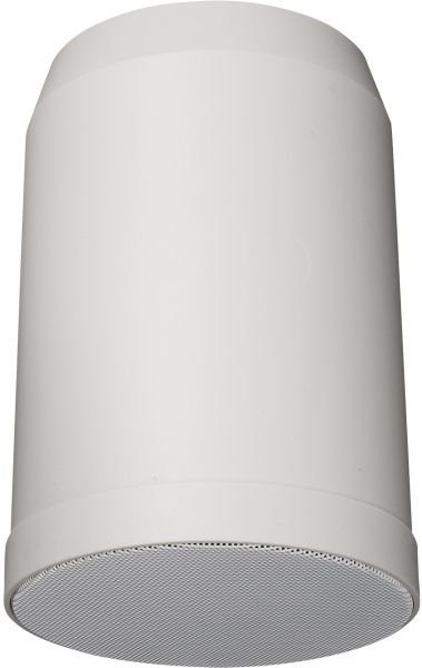 DAP-Audio HS-510P 10W 5" Hanging Speaker